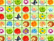 Colorful Flowers Link