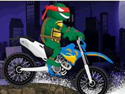 Ninja Turtles Bike Cha...